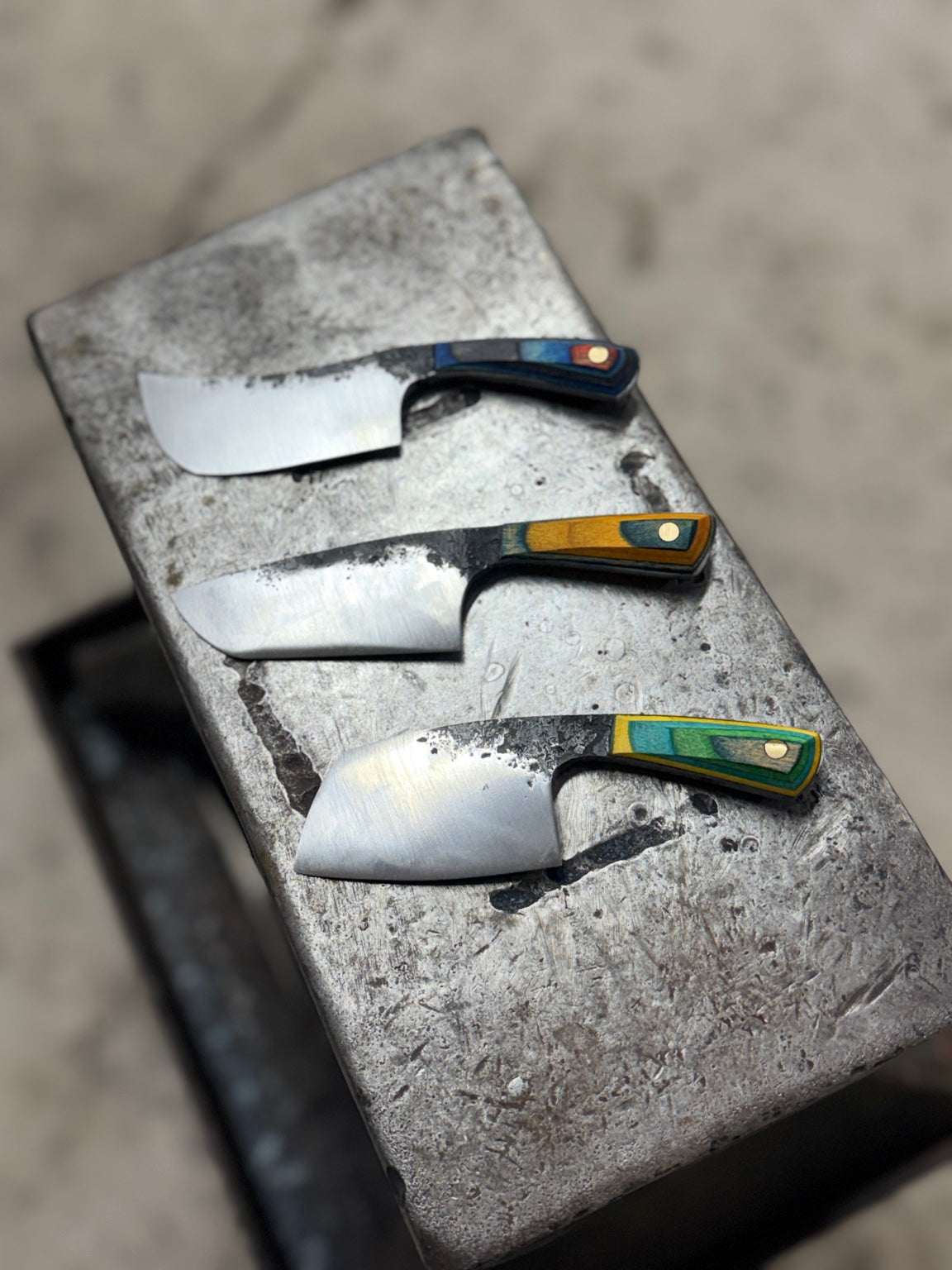 Charcuterie Knife Workshop